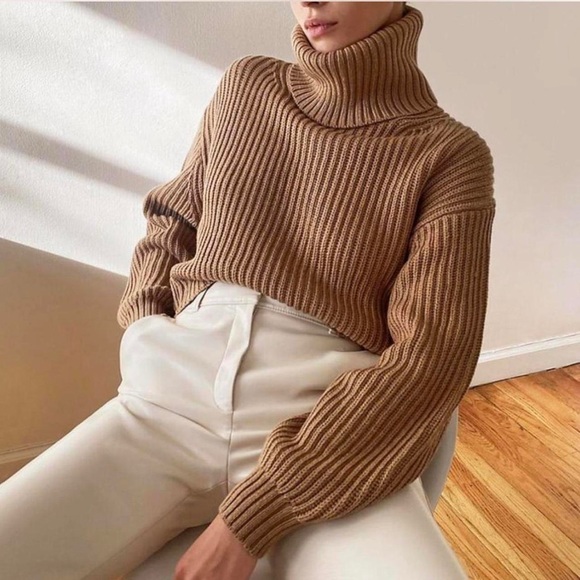 Babaton Guell Sweater | Cropped Ribbed Turtleneck | Wool Blend | Aritzia - Picture 5 of 6
